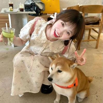 图腾诅咒