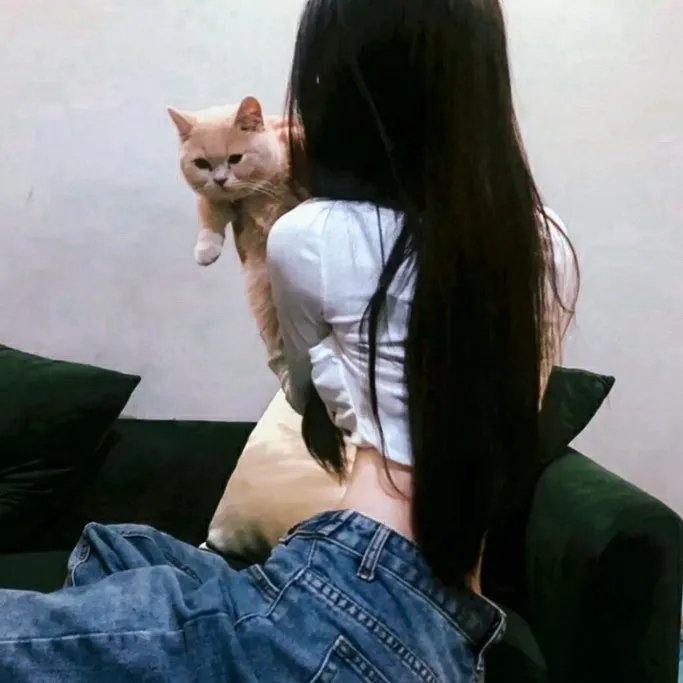 卧虎藏龙2