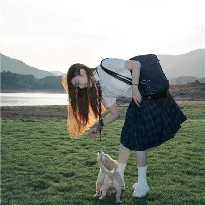义胆忠魂